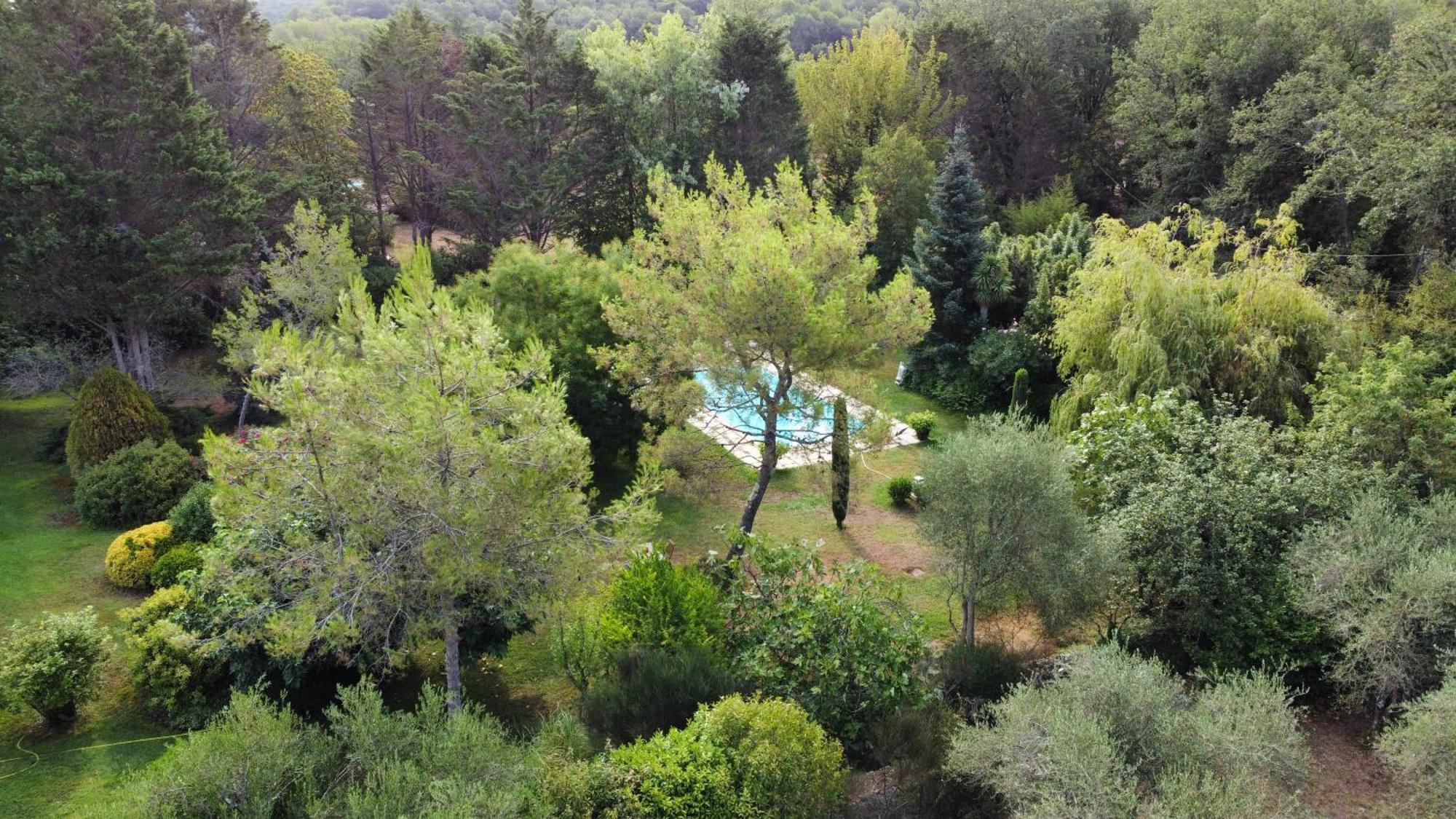 Villa De Miha 발본 외부 사진